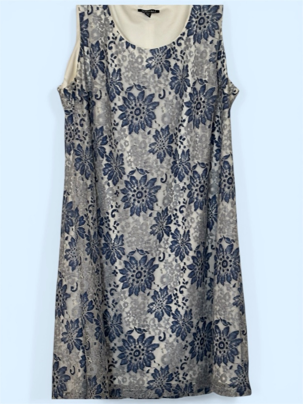 Sleeveless Floral Shift Dress in Blue and White